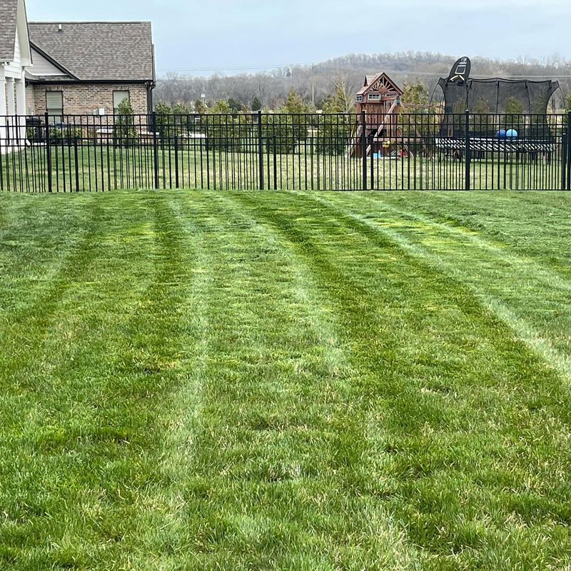 Lawn Care