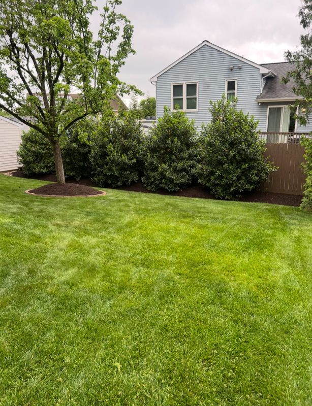 Lawn Maintenance