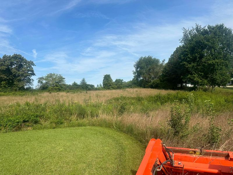 Land Clearing & Bushogging
