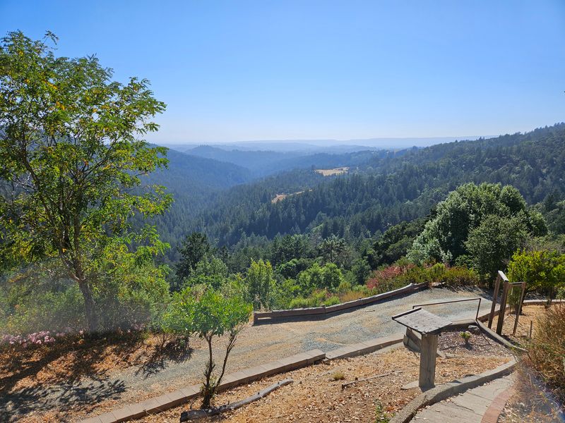 Defensible Space Fire Prevention gallery