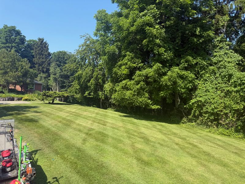 Lawn Mowing