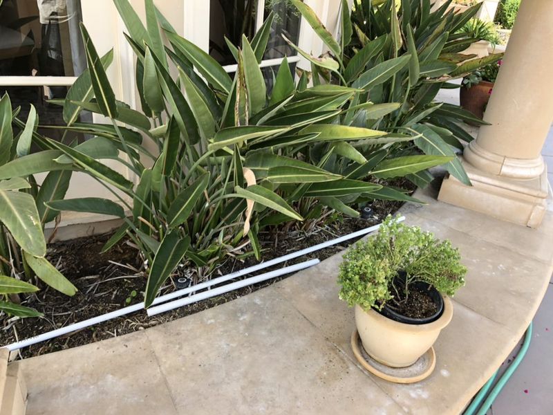 Mulch Installation