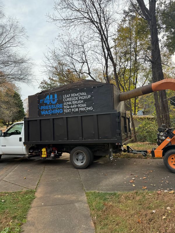 Leaf Removal