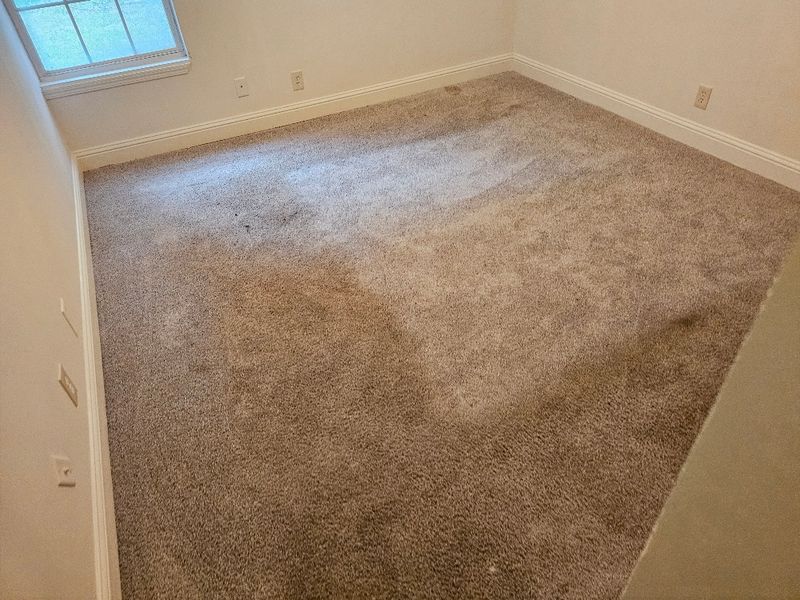 Carpet Cleaning