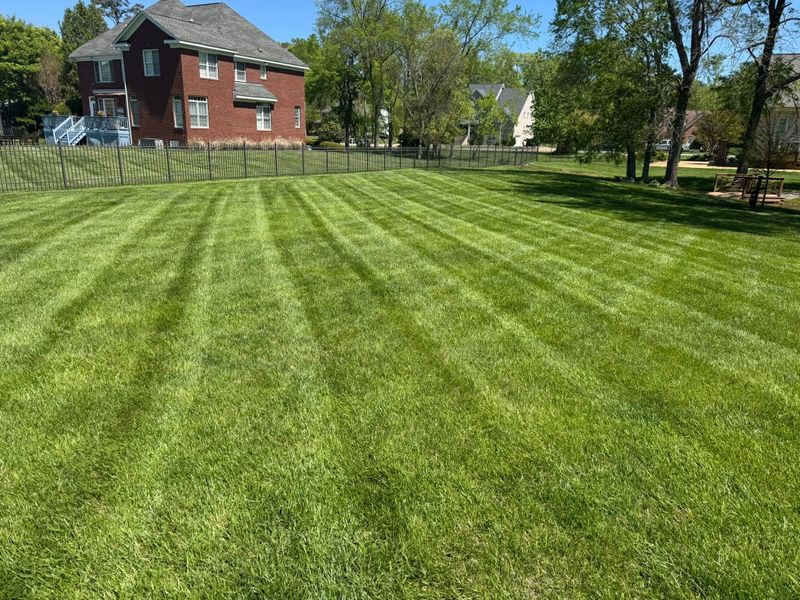 Lawn Mowing