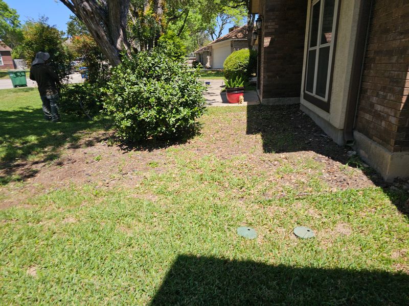Mowing