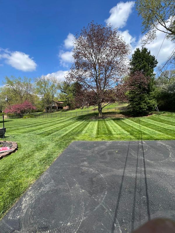 Landscaping