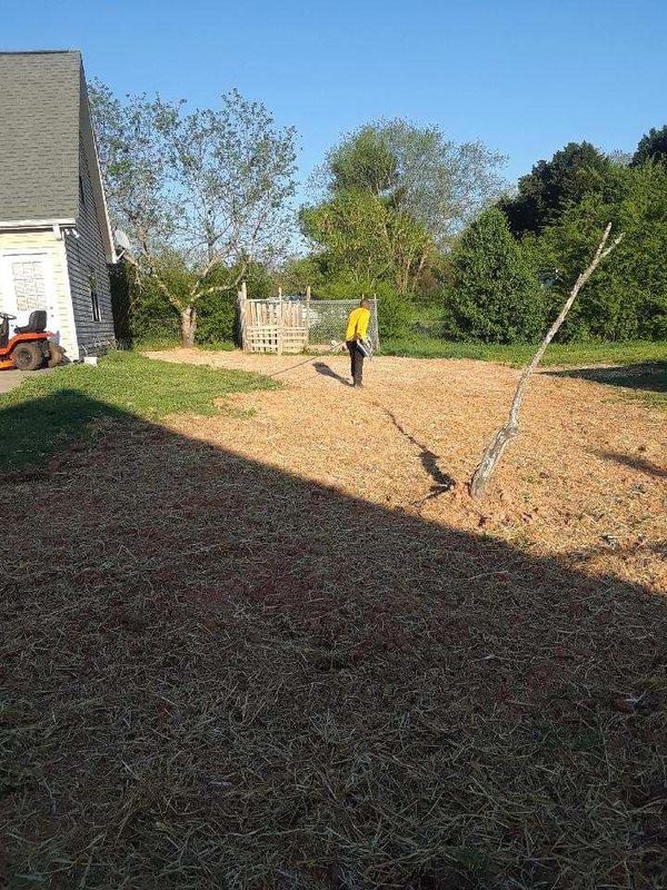 Plant & Shrub Installations