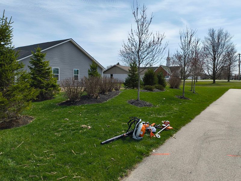 Field Mowing