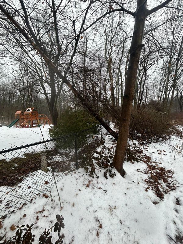 Emergency Tree Services