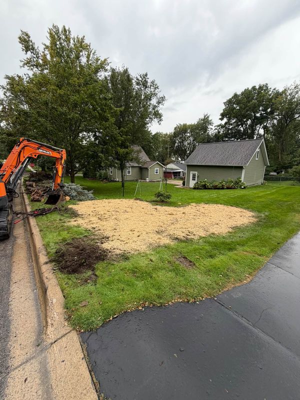 Excavation
