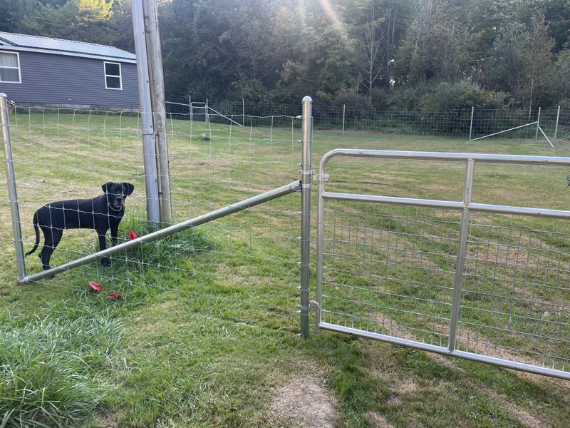 Residential Fencing