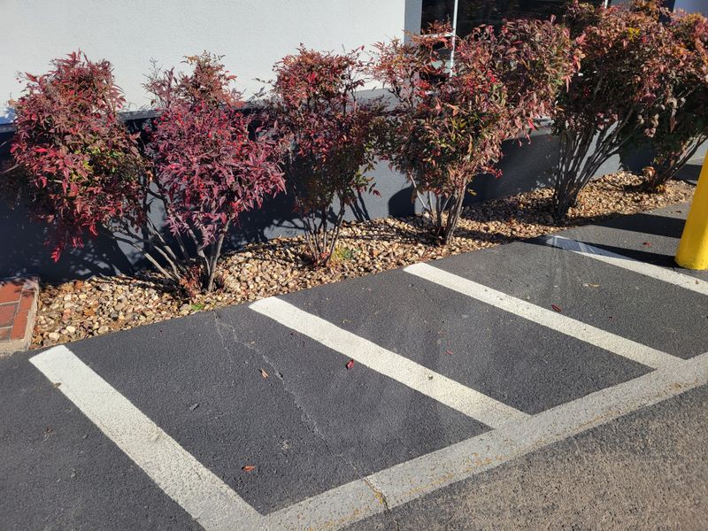 Hardscaping