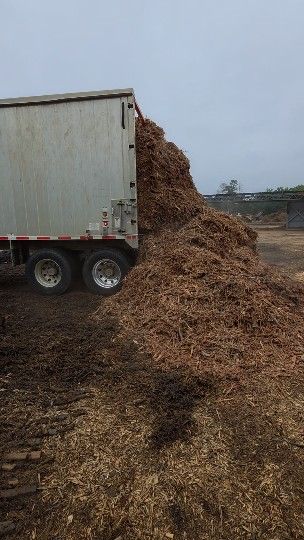 Debris Hauling