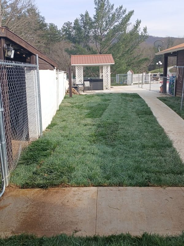 Lawn Maintenance