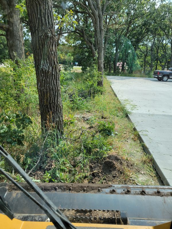 Land Clearing und Grading