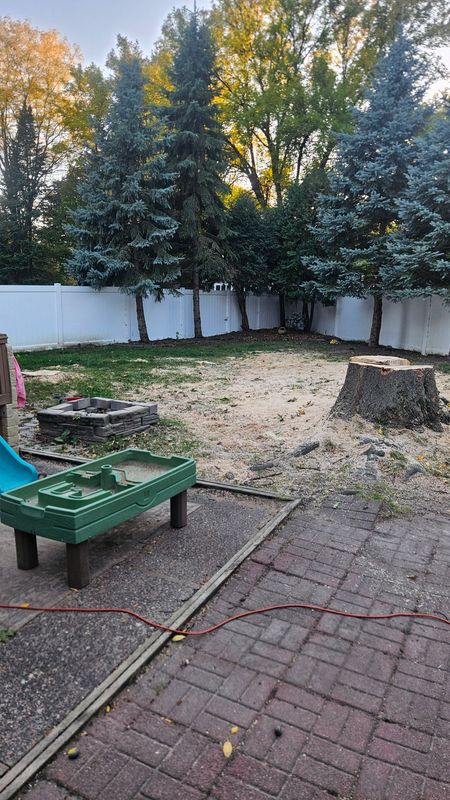 Stump Removal