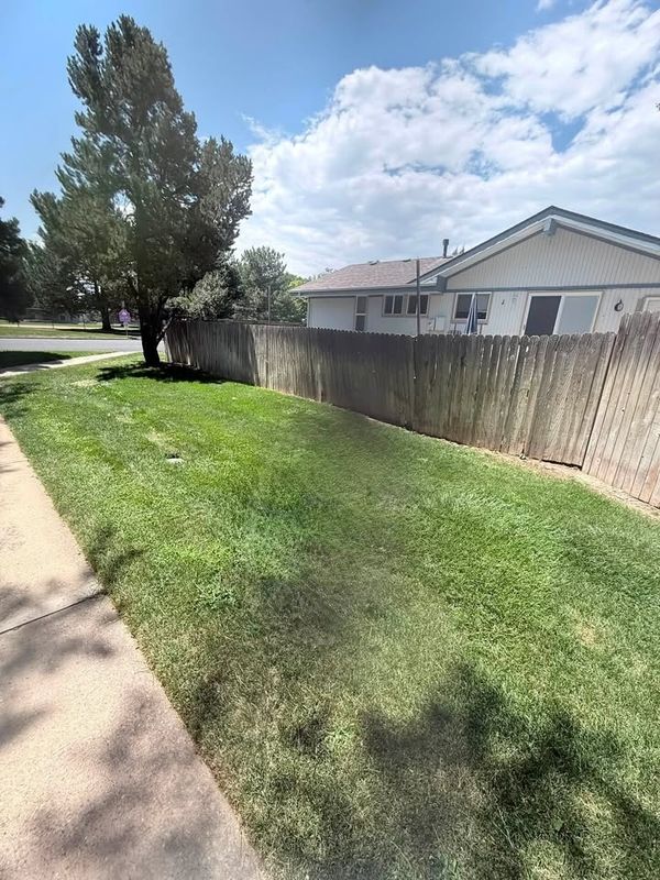 Lawn Maintenance
