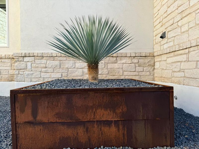 Landscape Design