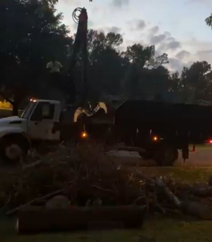 Tree Debris Removal