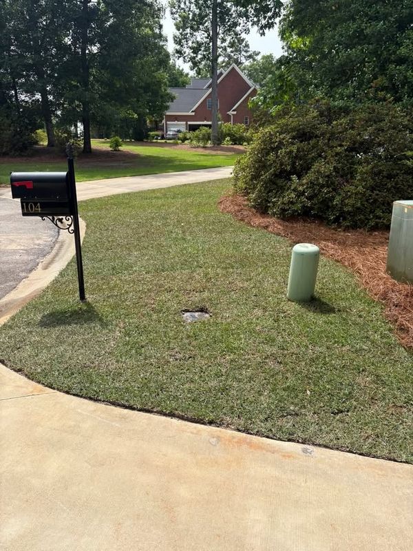 Lawn Maintenance