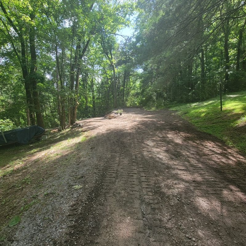 Land Clearing