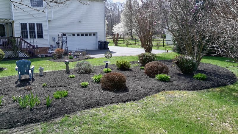 Landscape Design