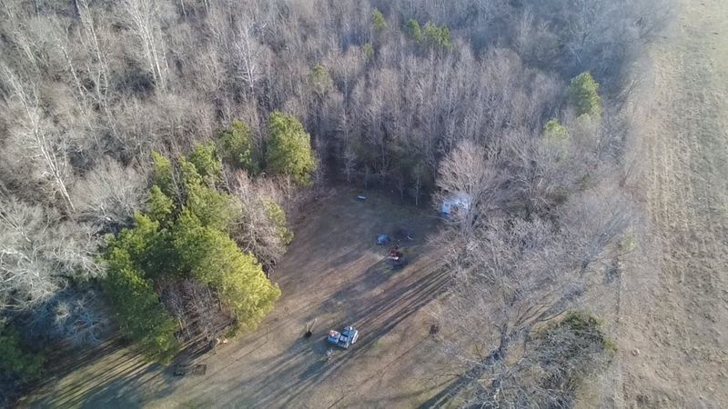 Land Clearing