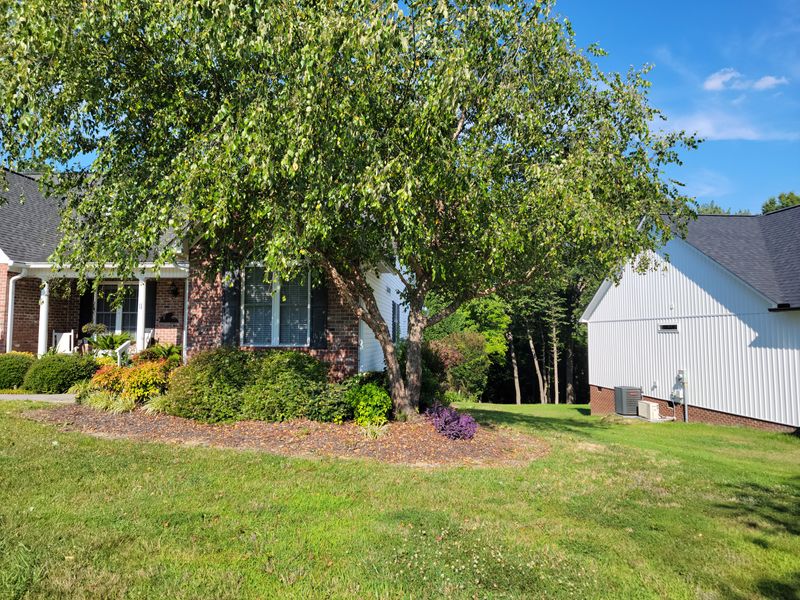 Tree Pruning