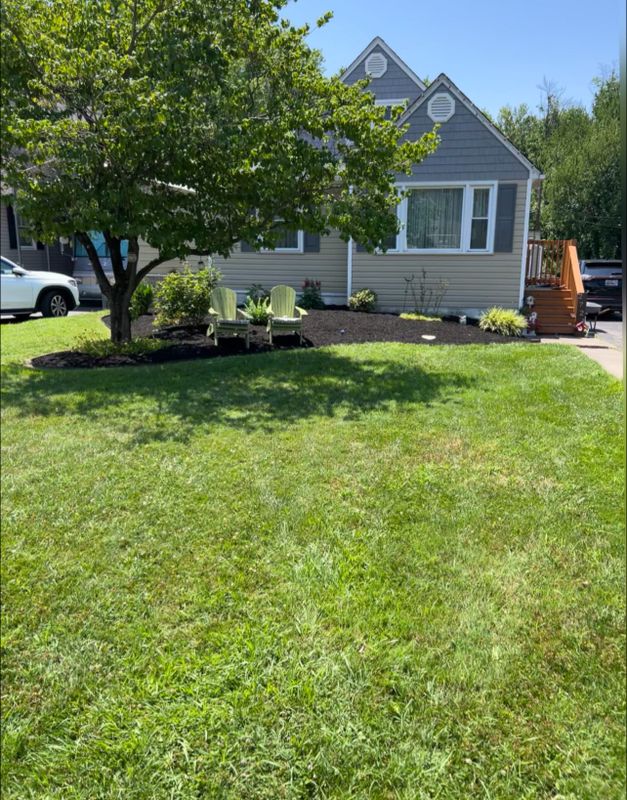 Lawn Maintenance