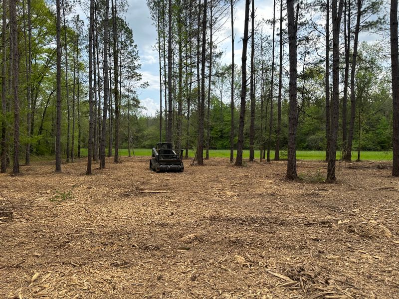 Mulching 