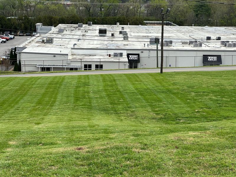Mowing