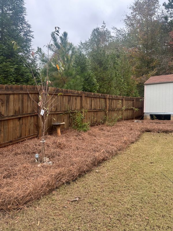 Shrub/Bush Trimming