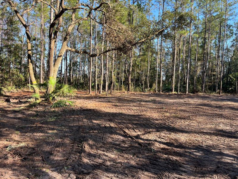 Debris Removal