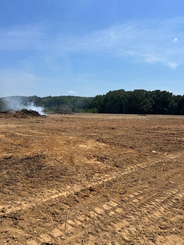 Land Clearing