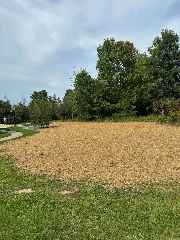 Land Clearing and Site Preparation