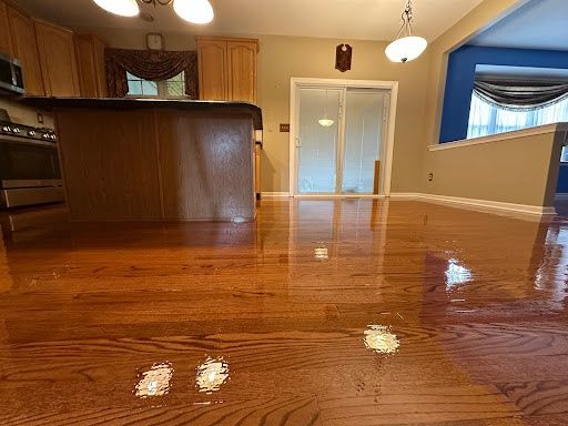 Floor Sand and finish