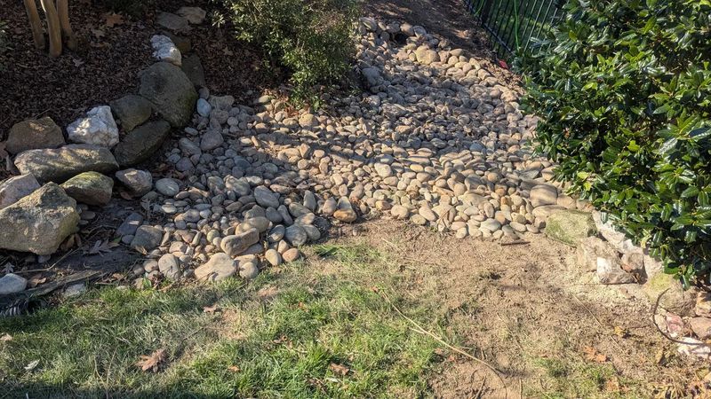 Swale Contruction
