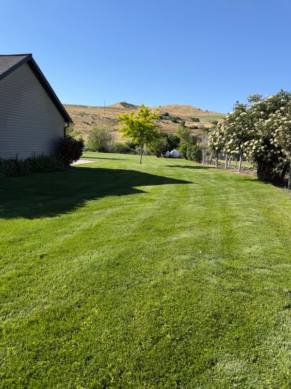 Lawn Care
