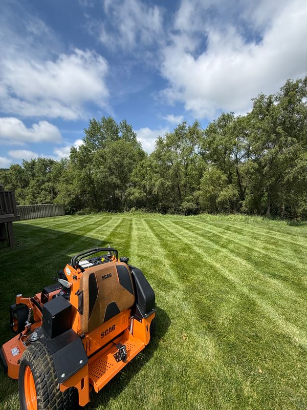 Lawn Maintenance