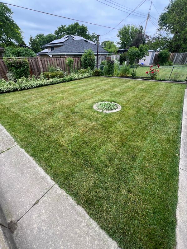Lawn Care