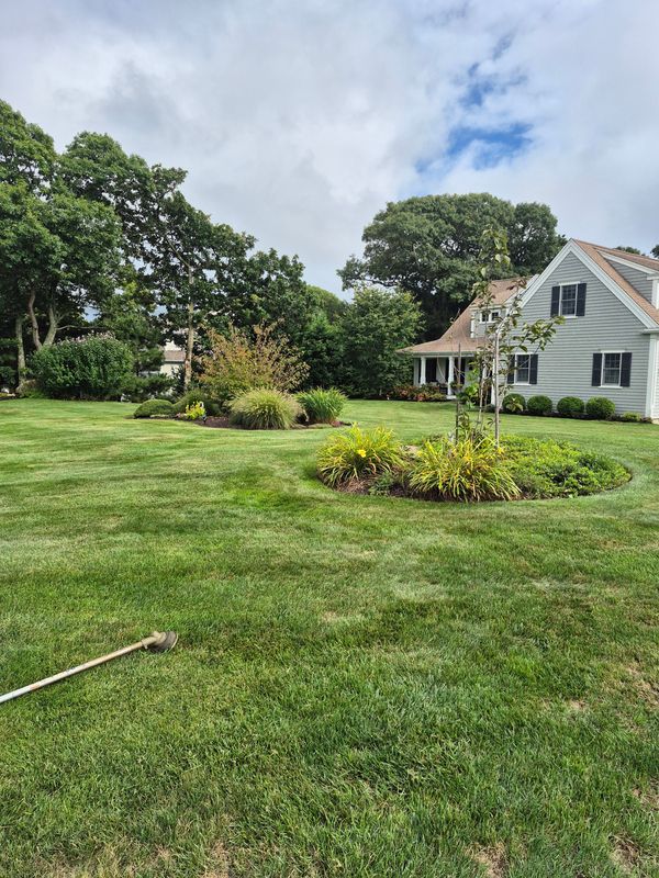 Lawn Maintenance