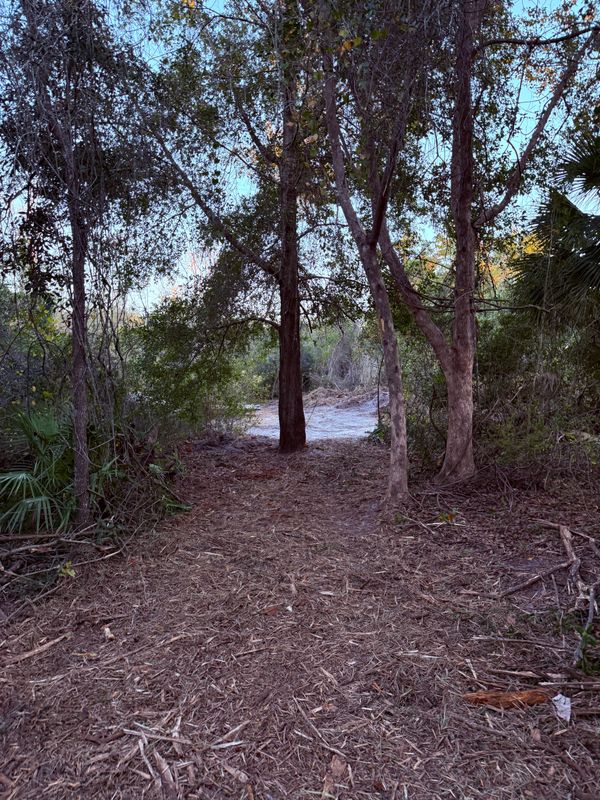 Land Clearing