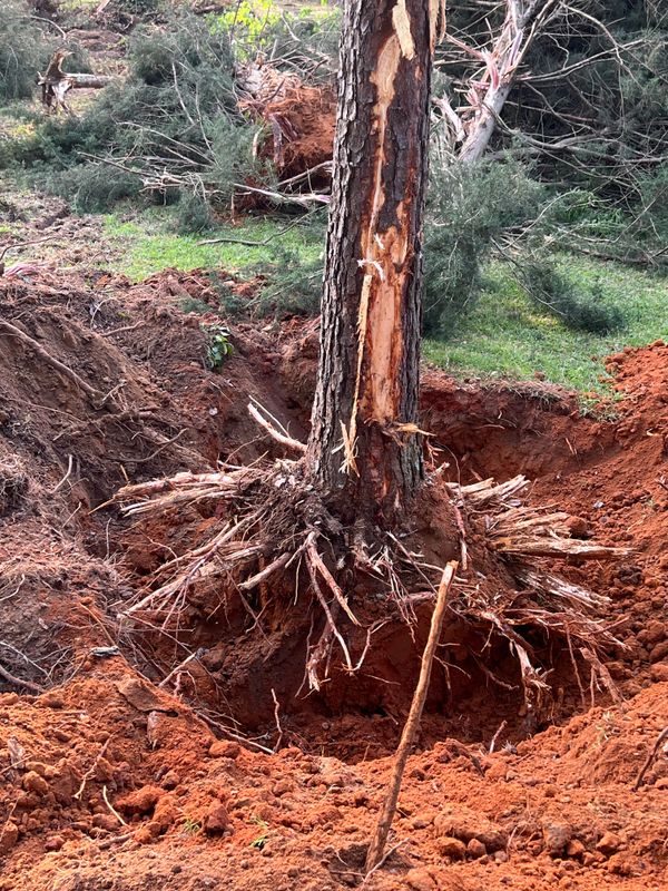 Land Managment 