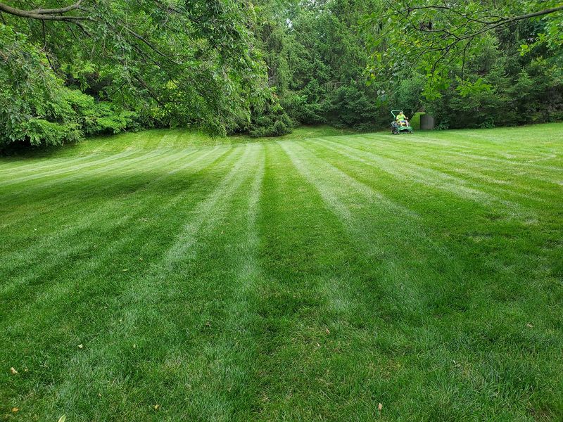 Mowing