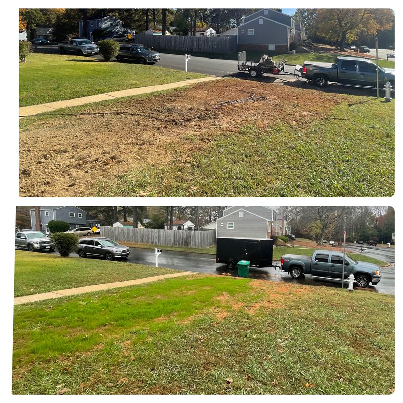 Sod Install