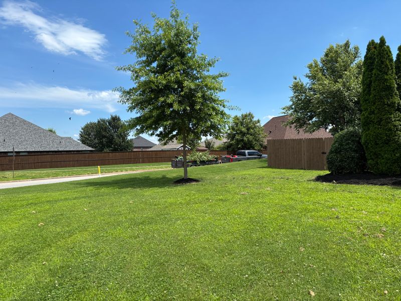 Lawn Maintenance