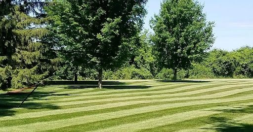 Lawn Mowing