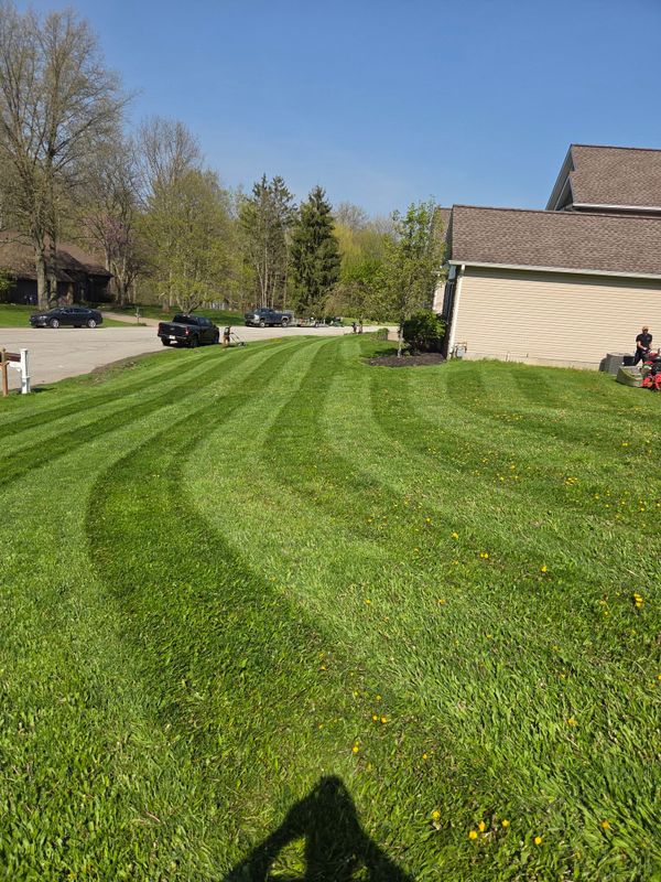 Landscaping