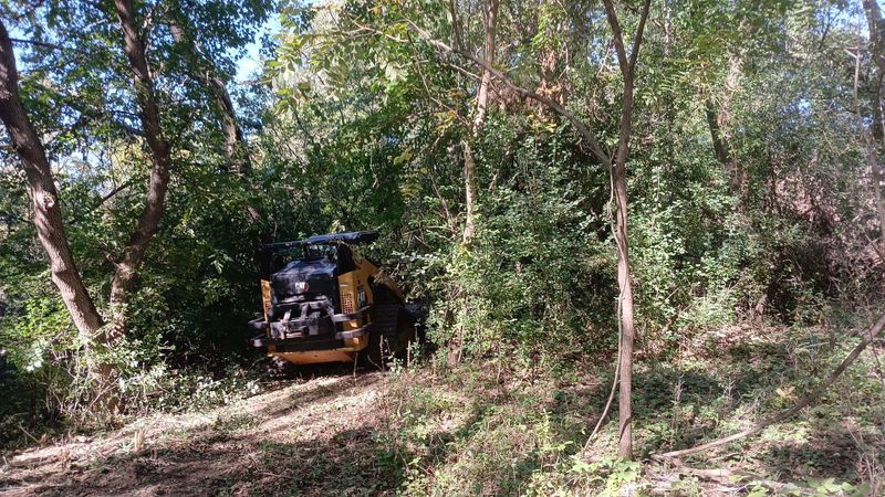 Forestry Mulching